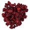 Fresh Gourmet Fresh Gourmet Infused Cranberries 5lbs 2406 - alternate 3